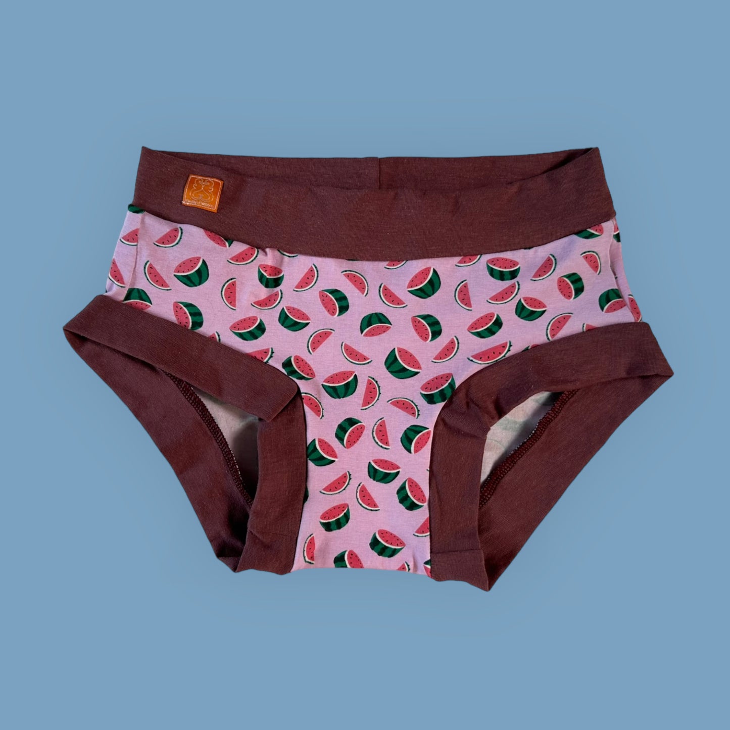 Women's Hipster Boy Leg Underwear : Watermelons