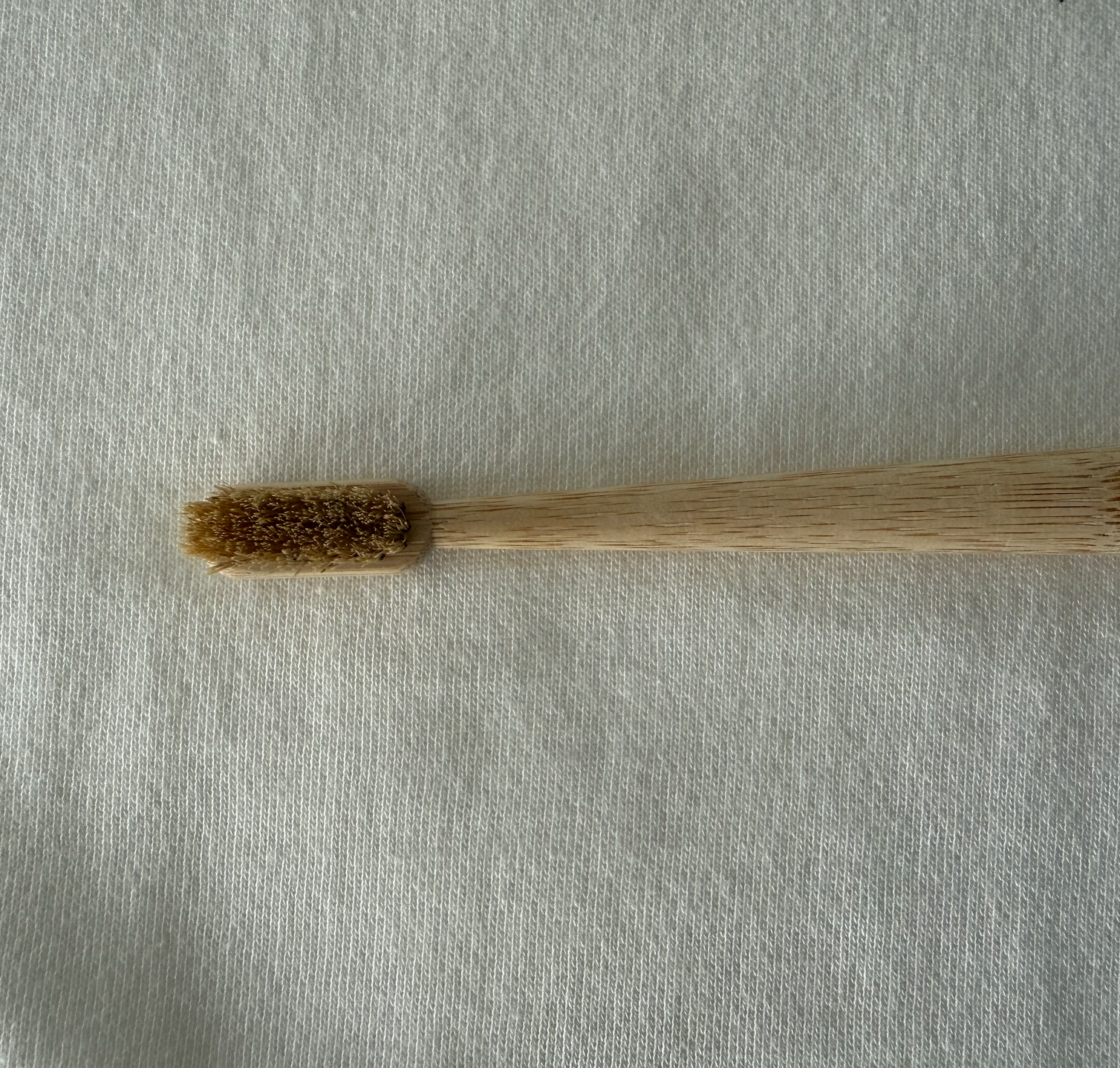 Plastic Free Tooth Brush