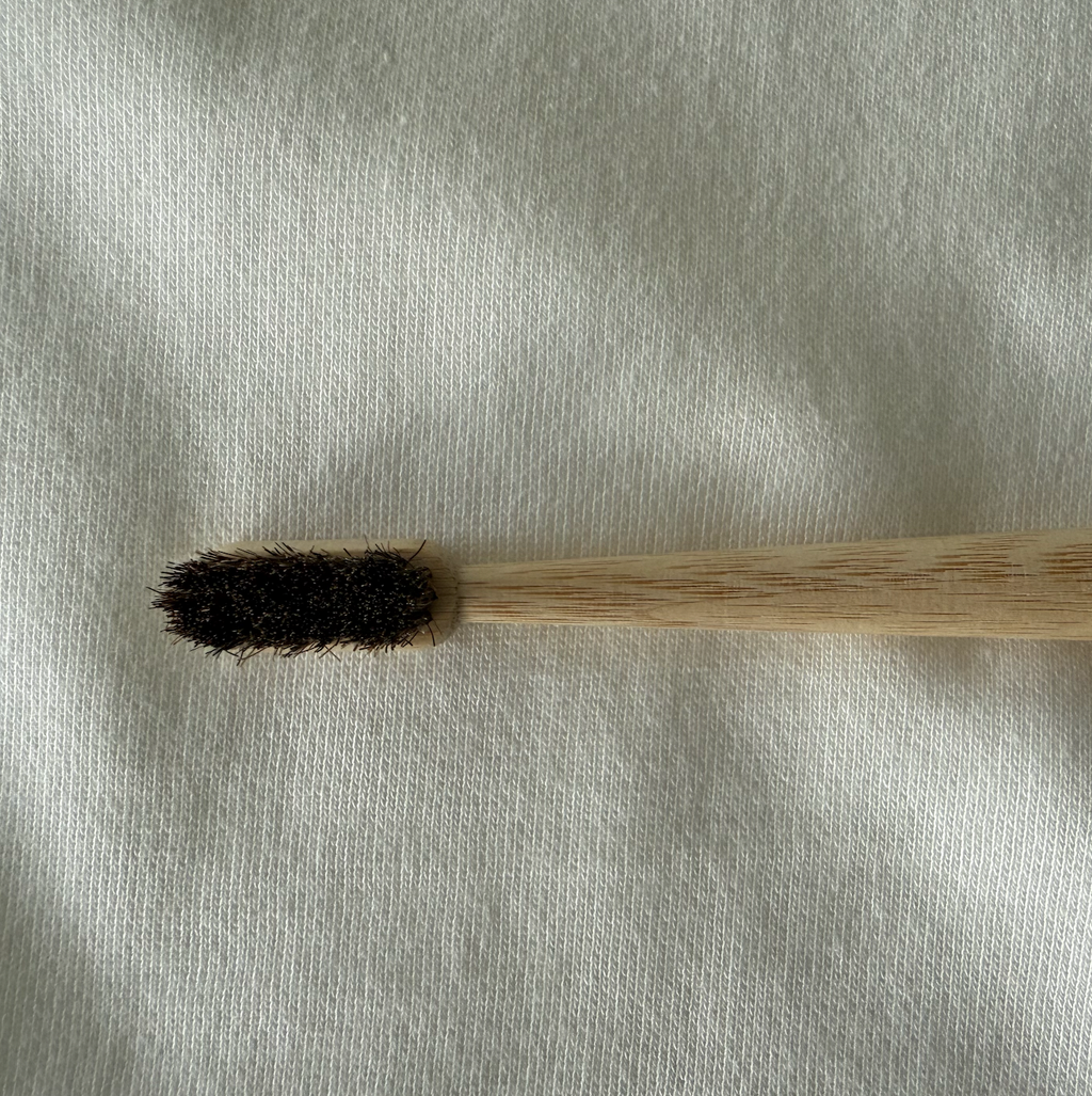 Plastic Free Tooth Brush